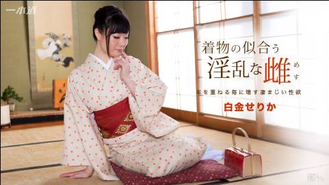 着物の似合う淫乱な雌 白金せりか