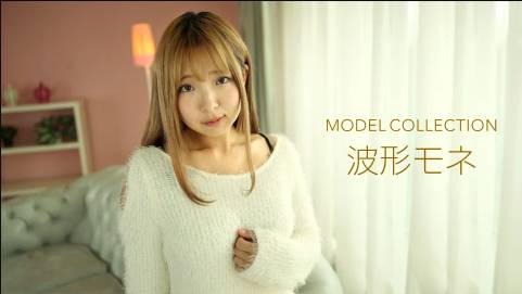 モデルコレクション 波形モネ