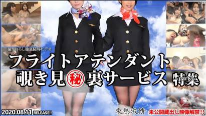 東熱激情 フライトアテンダント覗き見㊙裏サービス 特集 part3
